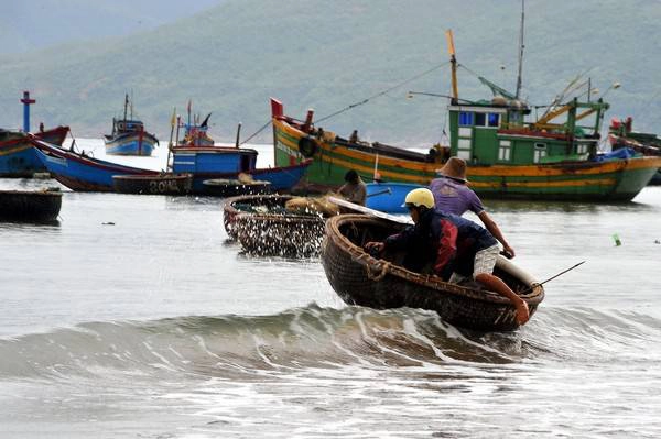 Du lịch Bình Định - Thúng chai ra khơi