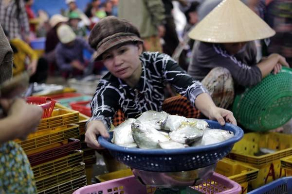 Nửa đêm, khi thành phố còn chìm trong giấc ngủ thì chợ cá đã rất ồn ã và náo nhiệt.