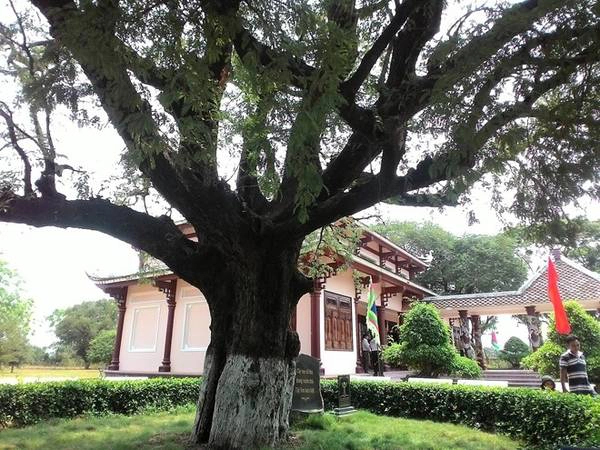 Ngày cuối, chúng tôi lên đường thăm Bảo tàng Quang Trung. Đây cũng là địa điểm cuối cùng trong chuyến hành trình. Trên đường đi bạn có thể ghé thăm tháp Thủ Thiện cách đó không xa. Ngày cuối, chúng tôi lên đường thăm Bảo tàng Quang Trung. Đây cũng là địa điểm cuối cùng trong chuyến hành trình. Trên đường đi bạn có thể ghé thăm tháp Thủ Thiện cách đó không xa.