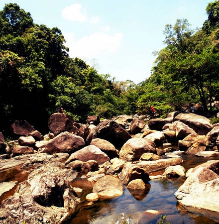 Cảnh đẹp nơi đây như một Hầm Hô khác của núi rừng Vĩnh An Cảnh đẹp nơi đây như một Hầm Hô khác của núi rừng Vĩnh An