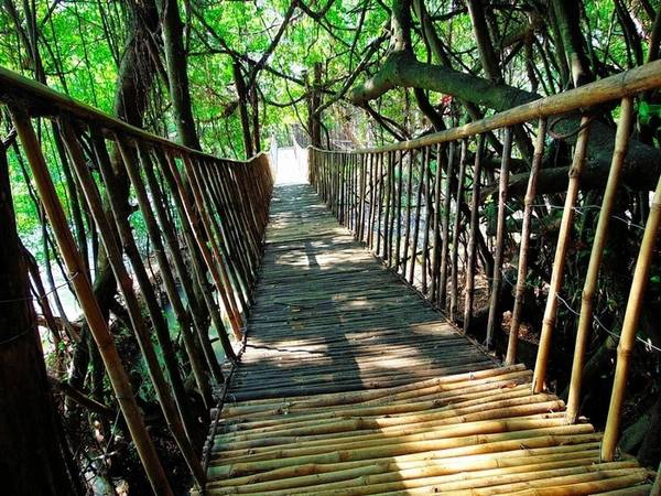 Cầu treo ở trong Bản Đôn. -Ảnh: k6bc11r Cầu treo ở trong Bản Đôn. -Ảnh: k6bc11r