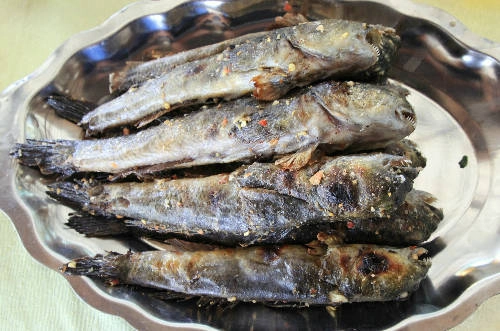 Cá thòi lòi có thể chế biến thành các món ăn hấp dẫn nhưng ngon nhất là cá thòi lòi nướng. camau-ivivu-10