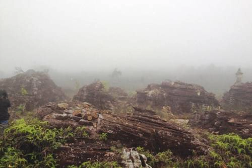 Quang cảnh rừng đá mờ trong sương