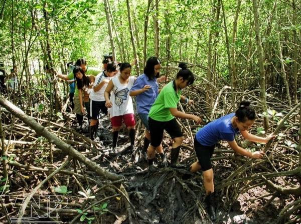 Du lich Sai Gon - Khám phá rừng ngập mặn Vàm Sát