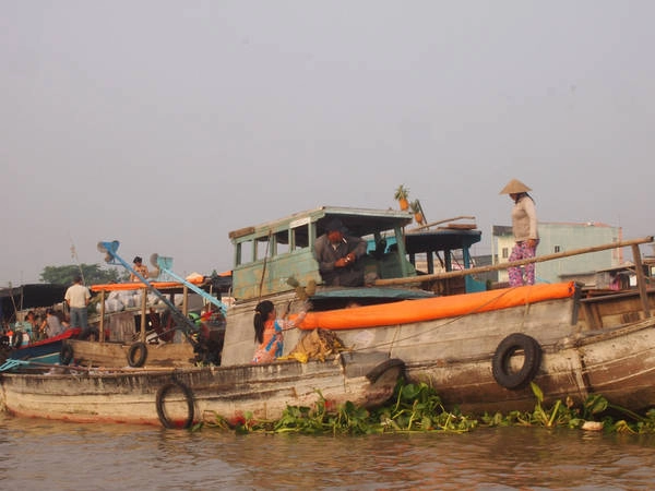 Những chiếc thuyền chở đầy những quả dứa - một loại trái cây tôi rất thích.