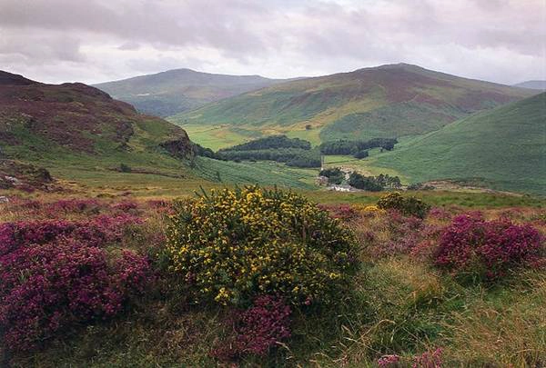 Du lịch Ireland