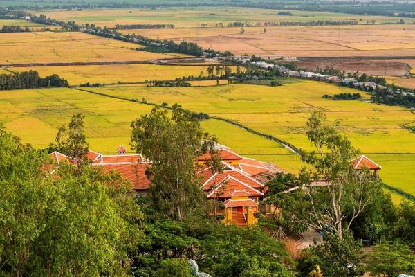 Từ núi Sam, du khách sẽ phóng tầm mắt, ngắm nhìn những đồng lúa chín vàng tuyệt đẹp. Ảnh: victoriahotels.asia Từ núi Sam, du khách sẽ phóng tầm mắt, ngắm nhìn những đồng lúa chín vàng tuyệt đẹp. Ảnh: victoriahotels.asia