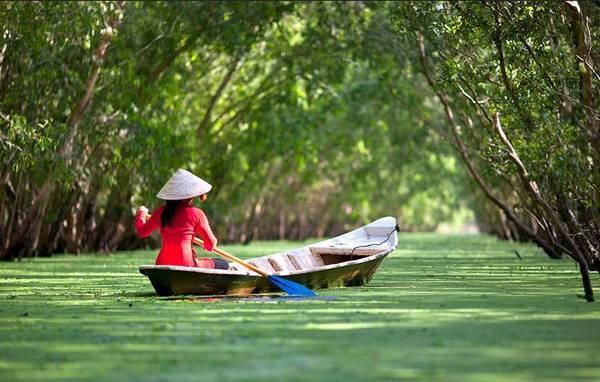 Rừng tràm Trà Sư cũng là một điểm đến gần Châu Đốc. Ảnh: jump_photos/flickr.com Rừng tràm Trà Sư cũng là một điểm đến gần Châu Đốc. Ảnh: jump_photos/flickr.com