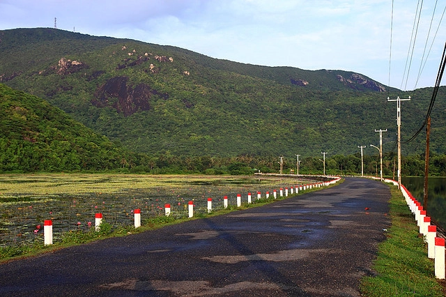 Con đường mang tên Hoàng Phi Yến