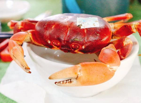 Cua đá - loại cua chỉ sống ở trên cạn trong những vách núi đá ở Cù Lao Chàm, chúng chỉ ăn những đọt rau rừng tươi non và uống sương sớm, vì vậy thịt cua rất chắc. Ảnh: @thaokhat.s Cua đá - loại cua chỉ sống ở trên cạn trong những vách núi đá ở Cù Lao Chàm, chúng chỉ ăn những đọt rau rừng tươi non và uống sương sớm, vì vậy thịt cua rất chắc. Ảnh: @thaokhat.s