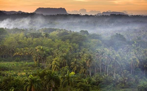 Dạo quanh những vùng nông thôn của Baracoa Dạo quanh những vùng nông thôn của Baracoa