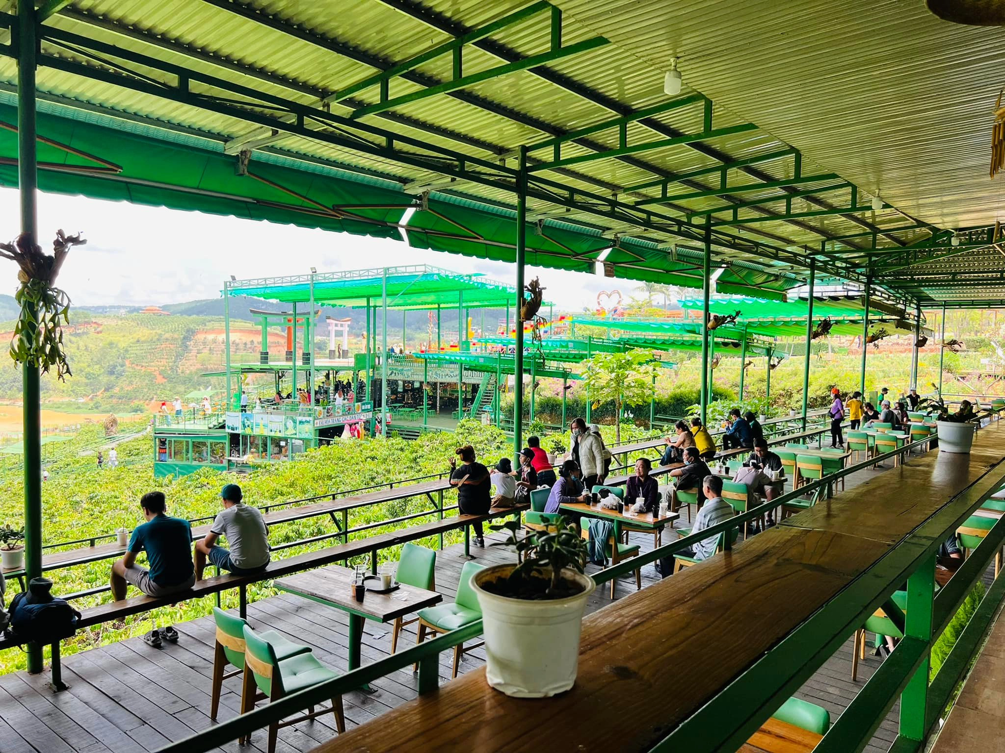 Ảnh: Mê Linh Coffee Garden