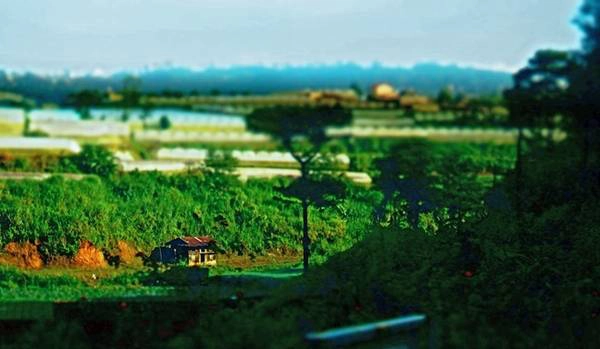 Sau chuyến xe đêm khởi hành từ Sài Gòn, chúng ta bắt đầu hành trình về với thiên nhiên hoang dã tách biệt với thế giới hiện đại. Buổi sáng đầu tiên đặt chân đến đây bạn sẽ có cảm giác thích thú với tiết trời trong lành. Sau chuyến xe đêm khởi hành từ Sài Gòn, chúng ta bắt đầu hành trình về với thiên nhiên hoang dã tách biệt với thế giới hiện đại. Buổi sáng đầu tiên đặt chân đến đây bạn sẽ có cảm giác thích thú với tiết trời trong lành.