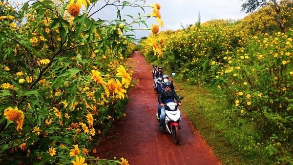 Phượt qua các vùng đất có dã quỳ mùa này tạo nên những cung bậc cảm xúc khác nhau. Phượt qua các vùng đất có dã quỳ mùa này tạo nên những cung bậc cảm xúc khác nhau.