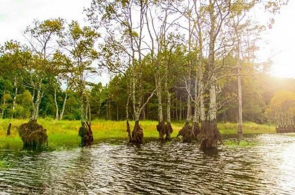 Để đến với khu rừng, du khách phải chèo thuyền cao su khoảng 1 km. Tuyền Lâm là hồ nước ngọt tự nhiên lớn nhất Đà Lạt, cách trung tâm thành phố 6 km về phía nam. Để đến với khu rừng, du khách phải chèo thuyền cao su khoảng 1 km. Tuyền Lâm là hồ nước ngọt tự nhiên lớn nhất Đà Lạt, cách trung tâm thành phố 6 km về phía nam.