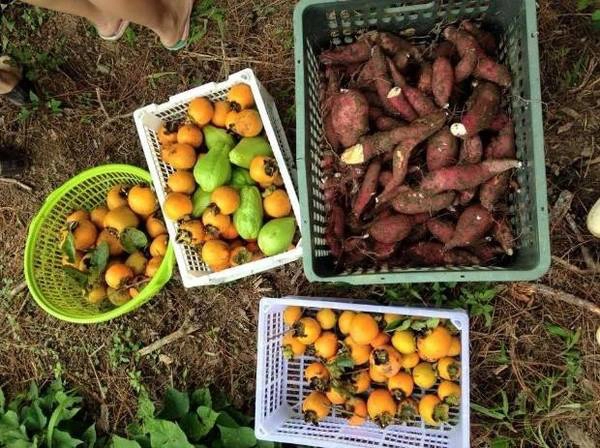 Thành quả của chuyến đi. Thành quả của chuyến đi.