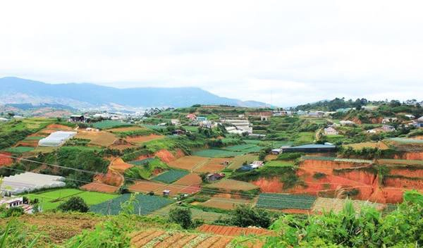 Thung lũng vườn rau xanh trên đường đến Thung lũng Vàng Thung lũng vườn rau xanh trên đường đến Thung lũng Vàng