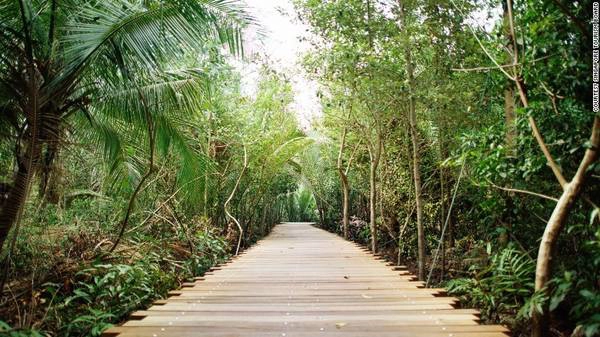 Pulau Ubin, Singapore: Với hệ sinh thái trù phú và độc đáo, hòn đảo nhỏ này chỉ cách đất liền khoảng 10 phút đi thuyền. Nơi đây có ngôi làng truyền thống cuối cùng của Singapore, với nhịp sống chậm rãi, thanh bình. Du khách có thể khám phá ẩm thực địa phương, tìm hiểu thế giới biển, ngắm nhìn các loài chim hay đạp xe vượt núi.
