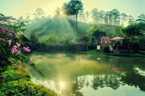 Soi bóng bình minh ở Ma Rừng lữ quán - Ảnh: Cao Cát Soi bóng bình minh ở Ma Rừng lữ quán - Ảnh: Cao Cát