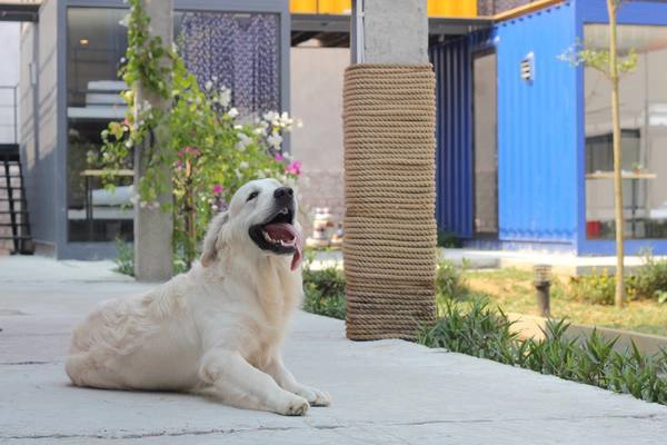 Ảnh: packohostel