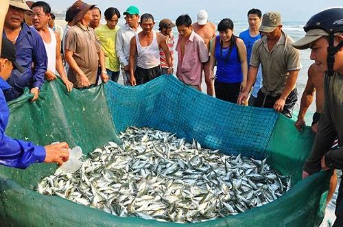 Trải nghiệm một ngày làm ngư dân khi du lịch Đà Nẵng.