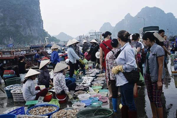 Trên bến tàu cảng, du khách có thể tham gia vào hoạt động buôn bán của người dân từ sáng sớm. Những giỏ cá tôm chất đầy được vận chuyển liên tục. Khung cảnh người mua người bán cùng với âm thanh gọi mời tạo nên một bức tranh sinh động. Bạn sẽ không còn cảm giác xa lạ khi hòa mình vào không khí tươi vui, trong trẻo tại bến cảng. Trên bến tàu cảng, du khách có thể tham gia vào hoạt động buôn bán của người dân từ sáng sớm. Những giỏ cá tôm chất đầy được vận chuyển liên tục. Khung cảnh người mua người bán cùng với âm thanh gọi mời tạo nên một bức tranh sinh động. Bạn sẽ không còn cảm giác xa lạ khi hòa mình vào không khí tươi vui, trong trẻo tại bến cảng.