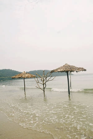 Nét quyến rũ của biển đảo Cô Tô là sự khoáng đạt, lãng mạn và hoang sơ của thiên nhiên. Bạn có thể thỏa mình cùng những cơn sóng biển ở bãi biển Bắc Vàn, Vàn Chải, Hồng Vàn. Nét quyến rũ của biển đảo Cô Tô là sự khoáng đạt, lãng mạn và hoang sơ của thiên nhiên. Bạn có thể thỏa mình cùng những cơn sóng biển ở bãi biển Bắc Vàn, Vàn Chải, Hồng Vàn.