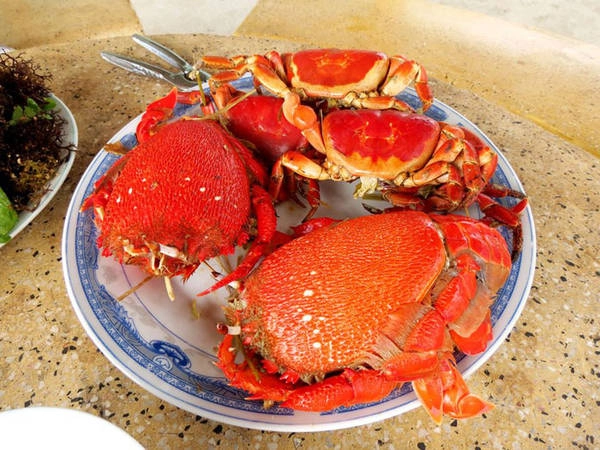Trong lịch sử, loài cua huỳnh đế vốn là đặc sản tiến vua. 