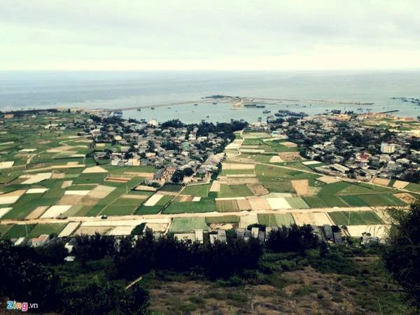 Những cánh đồng hành bạt ngàn xen lẫn những ngôi nhà nhỏ bé của cư dân thôn Đông.