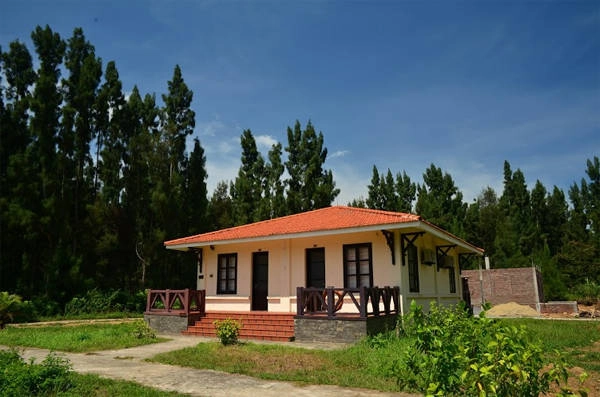du-lich-dao-mat-rong-ngoc-vung-cung-nhom-ban-ivivu-16