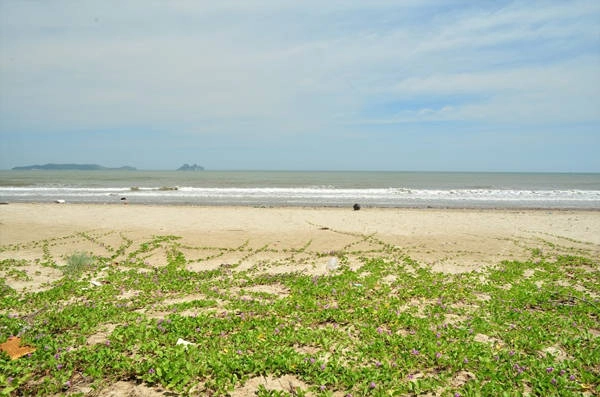 du-lich-dao-mat-rong-ngoc-vung-cung-nhom-ban-ivivu-17