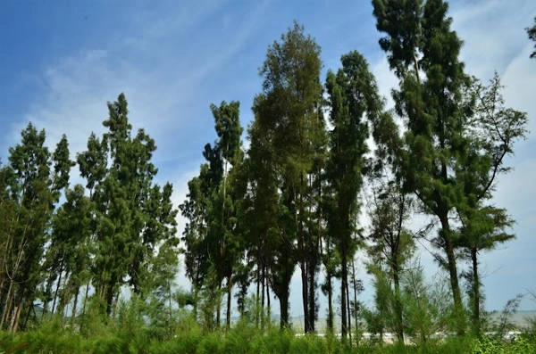 du-lich-dao-mat-rong-ngoc-vung-cung-nhom-ban-ivivu-18