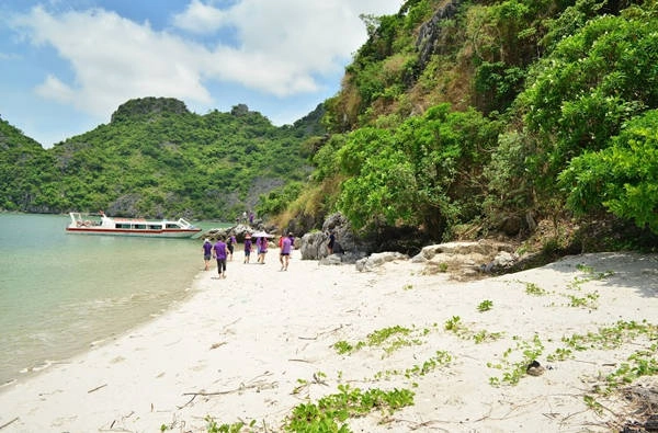 du-lich-dao-mat-rong-ngoc-vung-cung-nhom-ban-ivivu-9