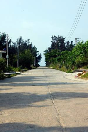 Một con đường trên đảo Ngọc Vừng. Ảnh: Phuot HD Một con đường trên đảo Ngọc Vừng. Ảnh: Phuot HD