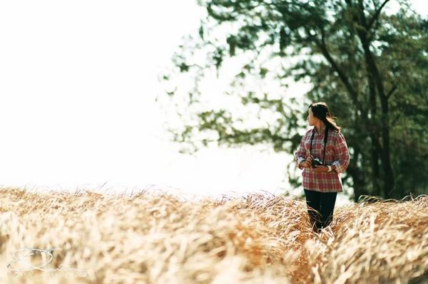 Vẻ đẹp hoang dã của cánh đồng cỏ mây.Ảnh: Quanlightwriter.photography Vẻ đẹp hoang dã của cánh đồng cỏ mây.Ảnh: Quanlightwriter.photography