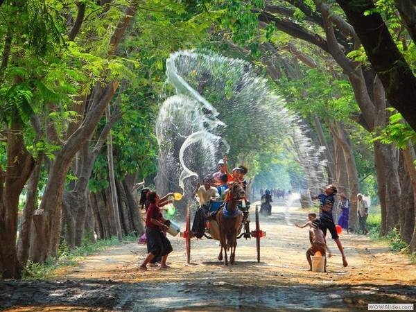  Lễ hội được diễn ra vào thời điểm nóng nhất trong năm, nên việc dội nước được rất nhiều người hưởng ứng. Ảnh: Wowslider.com