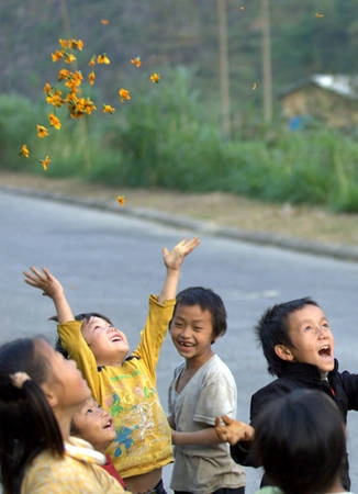 Tung hoa - Ảnh: Thủy Trần Tung hoa - Ảnh: Thủy Trần