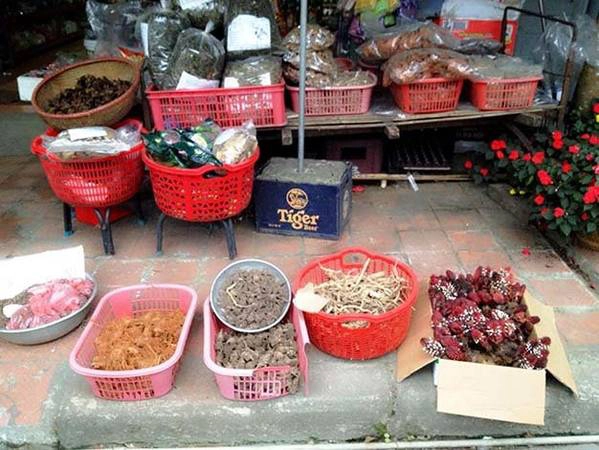 Nấm ngọc cẩu được bày bán nơi phố chợ - Ảnh: H.L.Đ.Hợp Nấm ngọc cẩu được bày bán nơi phố chợ - Ảnh: H.L.Đ.Hợp