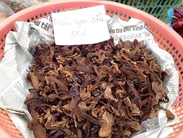 Nấm ngọc cẩu tươi - Ảnh: H.L.Đ.Hợp Nấm ngọc cẩu tươi - Ảnh: H.L.Đ.Hợp