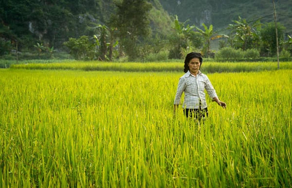 Du lich Ha Giang nhung dau an kho phai