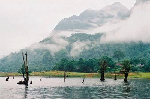Hồ Noong nổi tiếng với khu rừng nổi lọt top những ‘tiên cảnh’ trên mặt hồ của Việt Nam
