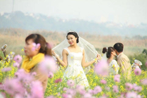 Bãi đá sông Hồng trở thành điểm thu hút các dịch vụ chụp ảnh cưới.