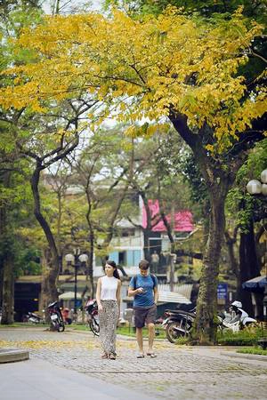 Du lịch Hà Nội vào mùa thu, bạn sẽ được nhìn thấy những rặng lá ngả màu vàng rủ trên nền trời xanh trong vắt