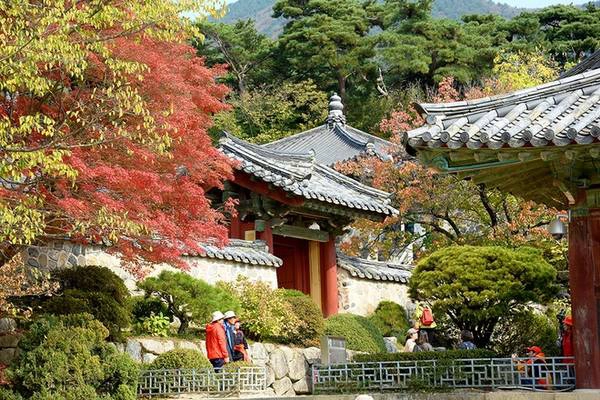 Bulguksa là điểm đến không thể bỏ qua khi du khách đến với cố đô của vương triều Silla. Nơi đây đã được UNESCO công nhận là di sản thế giới. Những công trình kiến trúc cổ nằm ẩn hiện dưới các tán cây đủ màu sắc như thông xanh, phong đỏ... Bulguksa là điểm đến không thể bỏ qua khi du khách đến với cố đô của vương triều Silla. Nơi đây đã được UNESCO công nhận là di sản thế giới. Những công trình kiến trúc cổ nằm ẩn hiện dưới các tán cây đủ màu sắc như thông xanh, phong đỏ...