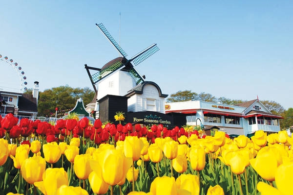 5-le-hoi-hoa-tulip-o-han-quoc-ivivu-1