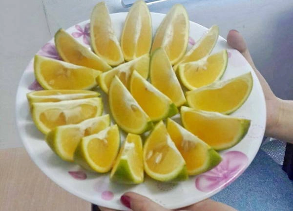 Vị cam Cao Phong không ngọt sắc, có vị ngơi chua chua, nhưng ăn thì rất mát và dễ chịu - Ảnh: Huyền Trần Vị cam Cao Phong không ngọt sắc, có vị ngơi chua chua, nhưng ăn thì rất mát và dễ chịu - Ảnh: Huyền Trần
