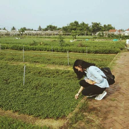 Không gian xanh mát của làng rau sẽ là nơi giúp bạn lưu lại nhiều bức hình đẹp. Ảnh: n_quynhhh/instagram Không gian xanh mát của làng rau sẽ là nơi giúp bạn lưu lại nhiều bức hình đẹp. Ảnh: n_quynhhh/instagram
