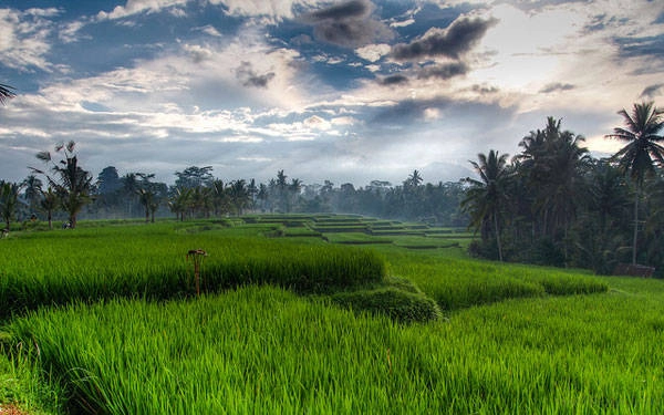 Ảnh: Globalgrasshopper Ảnh: Globalgrasshopper