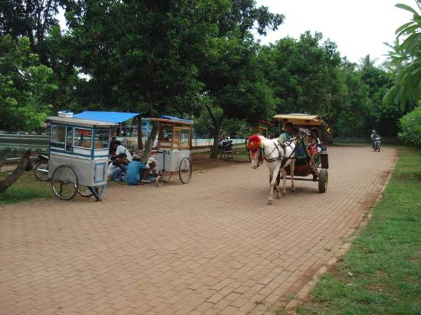 Du khách có thể ngồi xe ngựa khám phá ngôi làng. Ảnh: Kotawisataindonesia.com Du khách có thể ngồi xe ngựa khám phá ngôi làng. Ảnh: Kotawisataindonesia.com