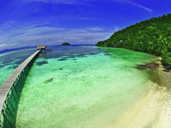 Raja Ampat sở hữu một hệ sinh thái dưới nước đa dạng nhất hành tinh. 